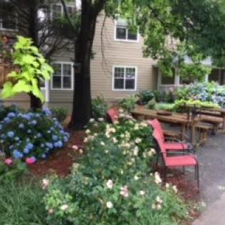 A cozy garden with colorful flowers, red chairs, and lush greenery.