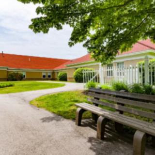 A peaceful outdoor scene with a bench under a tree near a pathway and building.