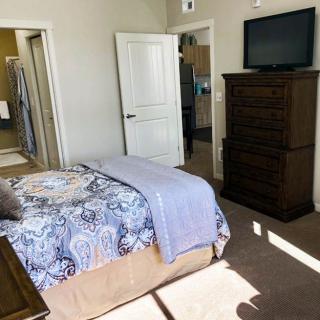 A cozy bedroom featuring a bed with patterned bedding, a tall dresser topped with a television, and bright natural lighting coming through the window.