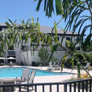 A serene outdoor swimming pool area surrounded by tropical plants and a hotel building.