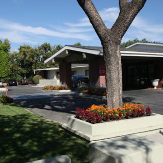 A suburban house with a tree and flower bed in the driveway on a sunny day.