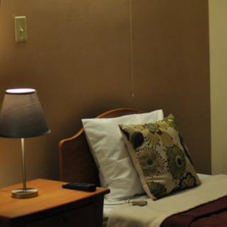 A cozy bedroom corner with a lamp on the nightstand and decorative pillows on the bed.