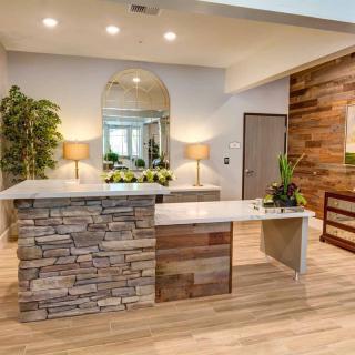 A modern reception area featuring a stone counter and wood flooring, accented with plants and warm lighting.