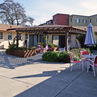 A sunny outdoor patio with tables, chairs, and a pergola surrounded by plants and buildings.