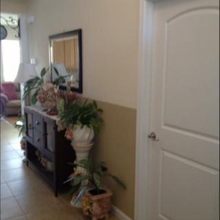 A cozy hallway featuring a side table with plants and a mirror, leading to a room in the background.