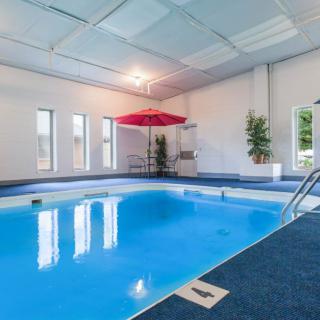 A serene indoor swimming pool with vibrant blue water, complemented by plants and seating, under a softly lit ceiling.