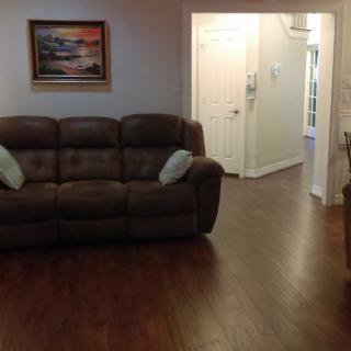 A cozy living room with a brown sofa and a framed painting on the wall.