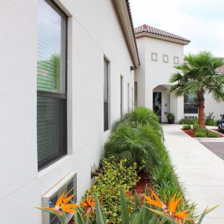 Modern house exterior with well-maintained landscaping and palm trees.