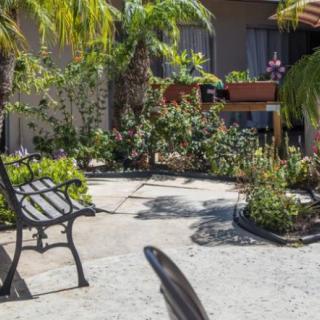 A serene outdoor garden with a bench surrounded by lush plants and palm trees.