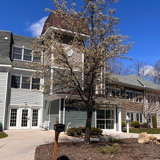 A modern building with a tree in bloom under a clear blue sky.