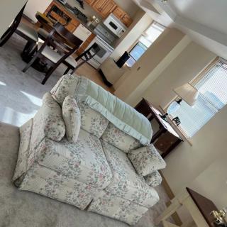 A cozy living room with a floral sofa, dining area, and open kitchen.