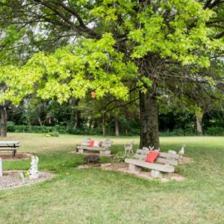 A serene park setting with benches and lush green trees.