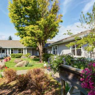 Beautiful garden view with a house in the background on a sunny day.