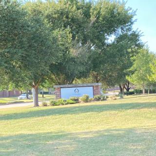 A serene park scene featuring lush green trees and an open grassy area.