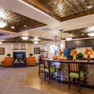 A cozy and inviting lounge area with comfortable seating, a fireplace, and a bar counter adorned with warm decor.