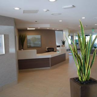 Modern office reception area with a central desk and decorative plants.