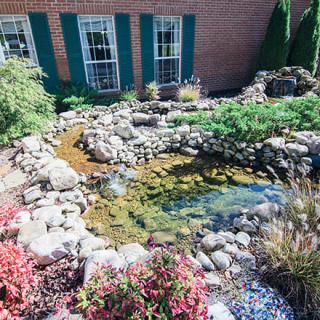 A tranquil garden pond surrounded by rocks and lush greenery.