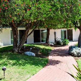 A serene garden with a brick pathway leading to a house, surrounded by lush greenery and trees.