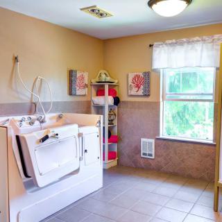 A spacious bathroom featuring a walk-in tub, wall decorations, and natural light from a large window.