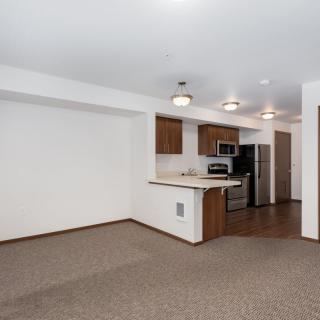 Modern apartment interior with an open kitchen and living area featuring stainless steel appliances and carpet flooring.