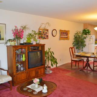 A cozy living room with a television, plants, and a dining area.