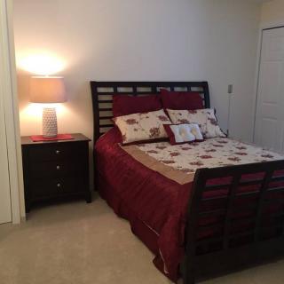 A cozy bedroom with a neatly made bed, nightstand, and table lamp.