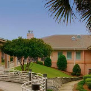 A serene view of a well-maintained building surrounded by greenery.