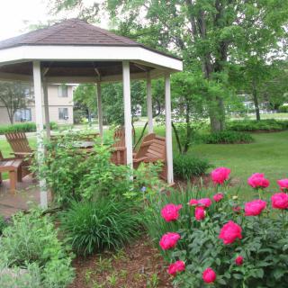 A serene garden with vibrant pink roses and a charming gazebo.