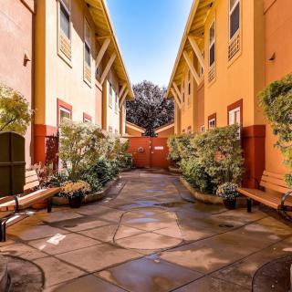 A sunny courtyard with a paved pathway between two buildings, adorned with lush landscaping.