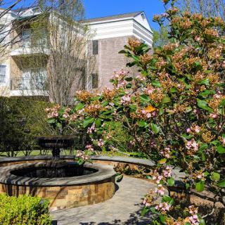 A serene garden scene featuring blooming flowers and a tranquil fountain against a backdrop of modern architecture.