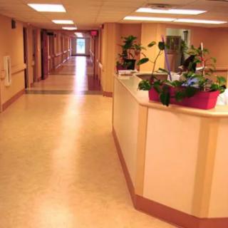 A hospital hallway with a reception desk and plants.