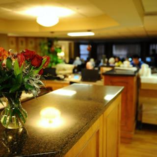 A cozy kitchen with a vase of flowers on the countertop.