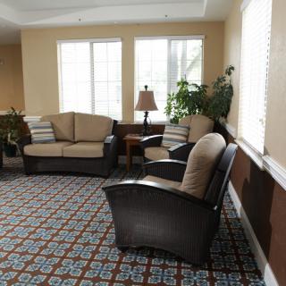 A cozy living room with a sofa, armchair, and decorative plants by the windows.