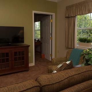 A cozy living room with a television, couch, and green walls, complemented by plants near the window.