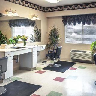 A well-lit hair salon interior with chairs, mirrors, and decorative plants.