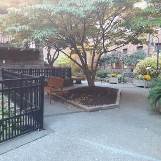 A tranquil garden space featuring benches and lush greenery, inviting relaxation in an urban setting.