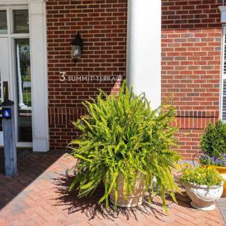 A potted plant is placed near the entrance of a brick building, with sunlight casting shadows on the ground.