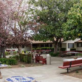 A peaceful courtyard with benches and trees providing a serene outdoor setting.
