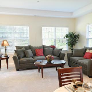 A cozy living room featuring comfortable seating, natural light, and a touch of greenery.
