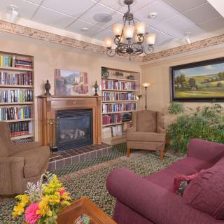 A cozy living room with a fireplace, surrounded by bookshelves and comfortable seating.