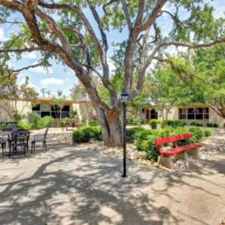 A peaceful garden setting with large trees, benches, and picnic tables offering a shaded area.