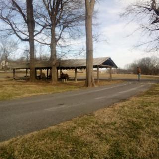 A peaceful park scene featuring a pavilion surrounded by trees along a quiet pathway.