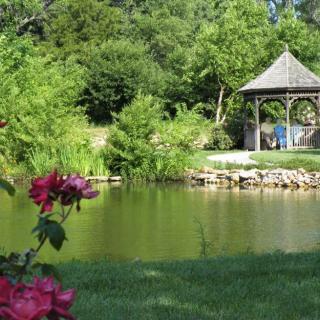 A peaceful garden scene with a pond and a gazebo surrounded by lush greenery and roses.