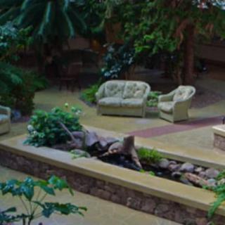 A cozy indoor garden with comfortable seating and lush greenery.
