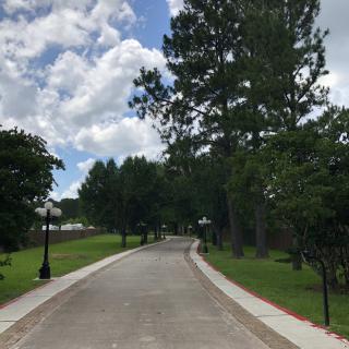 A scenic road lined with trees under a partly cloudy sky.