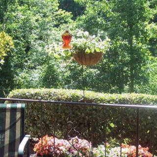 A scenic view of a balcony garden with vibrant flowers and lush greenery.