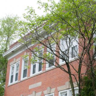 A brick building with large windows partially obscured by tree branches.