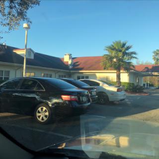A view of cars parked in a lot outside a building with palm trees on a clear day.