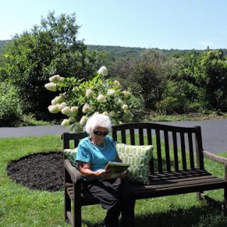 An elderly person enjoying a peaceful afternoon reading on a bench surrounded by nature.