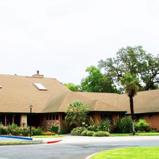 A suburban house with a sloped roof and skylights surrounded by trees.